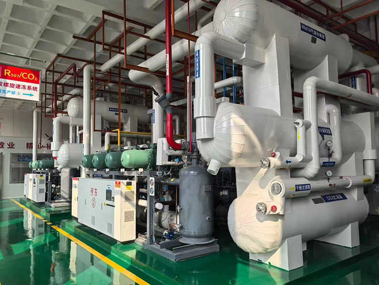 CO₂ Subcritical Refrigeration Compressor Unit